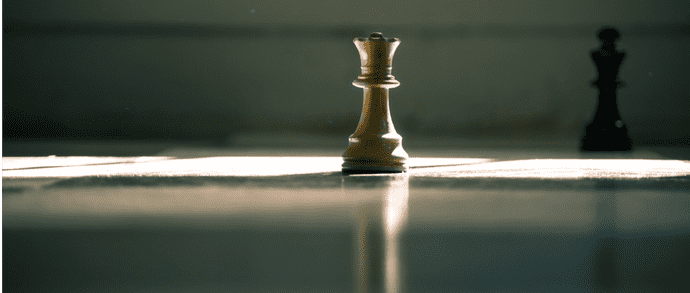 A single rook ready to help you win the game of personal finance
